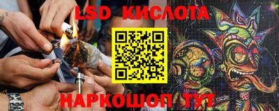 Альфа ПВП Анапа
